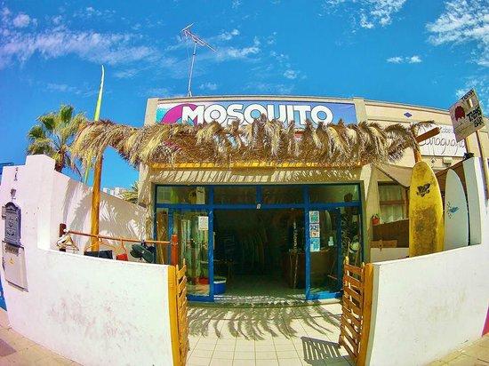 Mosquito Surf