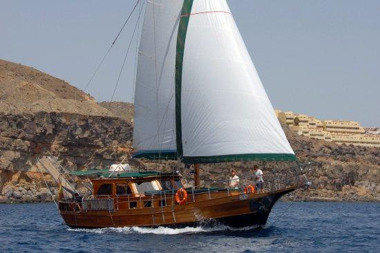 Paradise Sailing Experience Canary Boat Trips