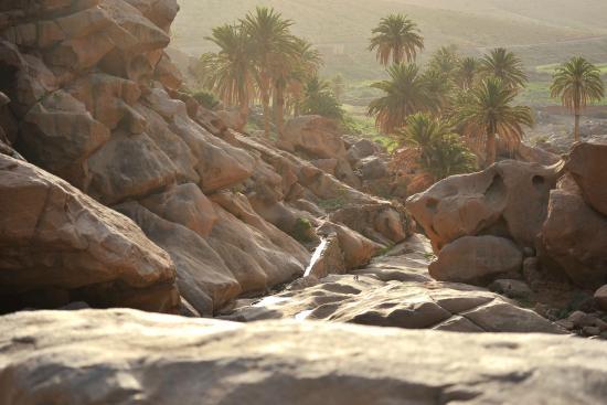 Climbing-Fuerteventura